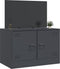 vidaXL - Tv-meubel - 67x39x44 - cm - staal - antracietkleurig
