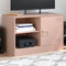vidaXL - Tv-meubel - 67x39x44 - cm - staal - roze