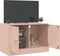 vidaXL - Tv-meubel - 67x39x44 - cm - staal - roze