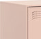 vidaXL - Tv-meubel - 67x39x44 - cm - staal - roze