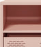 vidaXL - Tv-meubel - 68x39x43,5 - cm - koudgewalst - staal - roze