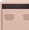 vidaXL - Tv-meubel - 68x39x43,5 - cm - koudgewalst - staal - roze