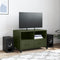 vidaXL - Tv-meubel - 68x39x43,5 - cm - staal - olijfgroen