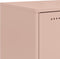 vidaXL - Tv-meubel - 68x39x43,5 - cm - staal - roze