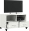 vidaXL - Tv-meubel - 68x39x43,5 - cm - staal - wit