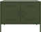 vidaXL - Tv-meubel - 68x39x50,5 - cm - staal - olijfgroen