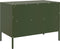 vidaXL - Tv-meubel - 68x39x50,5 - cm - staal - olijfgroen