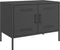 vidaXL - Tv-meubel - 68x39x50,5 - cm - staal - zwart