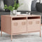 vidaXL - Tv-meubel - 68x50x43,5 - cm - koudgewalst - staal - roze