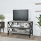 vidaXL - Tv-meubel - 80x40x50 - cm - bewerkt - hout - grijs - sonoma - eikenkleurig