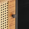 vidaXL - Tv-meubel - 90x30x40 - cm - ruw - mangohout - en - natuurlijk - riet