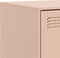 vidaXL - Tv-meubel - 99x39x44 - cm - staal - roze