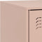 vidaXL - Tv-meubel - 99x39x44 - cm - staal - roze