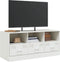 vidaXL - Tv-meubel - 99x39x44 - cm - staal - wit
