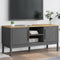vidaXL - Tv-meubel - FLORO - 114x43x55 - cm - massief - grenenhout - grijs