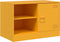 vidaXL - Tv-meubelen - 2 - st - 67x39x44 - cm - staal - mosterdgeel