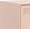 vidaXL - Tv-meubelen - 2 - st - 67x39x44 - cm - staal - roze