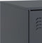 vidaXL - Tv-meubelen - 2 - st - 67x39x44 - cm - staal - antracietkleurig