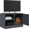 vidaXL - Tv-meubelen - 2 - st - 67x39x44 - cm - staal - antracietkleurig