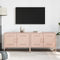 vidaXL - Tv-meubelen - 2 - st - 68x39x50,5 - cm - staal - roze