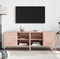 vidaXL - Tv-meubelen - 2 - st - 68x39x50,5 - cm - staal - roze