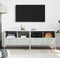 vidaXL - Tv-meubelen - 2 - st - 68x39x50,5 - cm - staal - wit