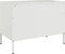 vidaXL - Tv-meubelen - 2 - st - 68x39x50,5 - cm - staal - wit