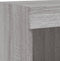 vidaXL - Tv-meubels - met - LED-verlichting - 2 - st - 100x30x30 - cm - grijs - sonoma