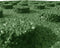 vidaXL - Valtegels - 6 - st - 50x50x3 - cm - rubber - groen