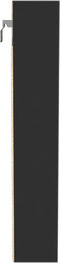 vidaXL - Vitrinekast - 100x8,5x50 - cm - bewerkt - hout - zwart