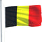 vidaXL - Vlag - België - 90x150 - cm