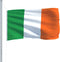 vidaXL - Vlag - Ierland - 90x150 - cm
