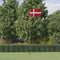 vidaXL - Vlag - met - vlaggenmast - Denemarken - 5,55 - m - aluminium