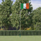 vidaXL - Vlag - met - vlaggenmast - Ierland - 6,23 - m - aluminium