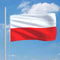 vidaXL-Vlag-Polen-90x150-cm