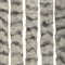 vidaXL - Vliegengordijn - 90x200 - cm - chenille - lichtgrijs - en - donkergrijs