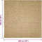 vidaXL - Vloerkleed - 100x100 - cm - natuurlijk - sisal