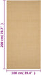 vidaXL - Vloerkleed - 100x200 - cm - natuurlijk - sisal
