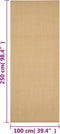vidaXL - Vloerkleed - 100x250 - cm - natuurlijk - sisal