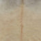 vidaXL - Vloerkleed - 150x170 - cm - echte - runderhuid - beige