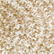 vidaXL - Vloerkleed - handgemaakt - 180 - cm - jute - wit - en - bruin