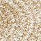 vidaXL - Vloerkleed - handgemaakt - 210 - cm - jute - zwart - en - bruin