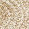 vidaXL - Vloerkleed - handgemaakt - 90 - cm - jute - wit - en - naturel