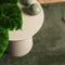 vidaXL - Vloerkleed - HUARTE - laagpolig - zacht - wasbaar - 240x240 - cm - bosgroen
