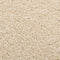 vidaXL - Vloerkleed - kortpolig - 120x170 - cm - beige
