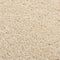 vidaXL - Vloerkleed - kortpolig - 140x200 - cm - beige