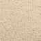 vidaXL - Vloerkleed - kortpolig - 160x230 - cm - beige