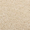 vidaXL - Vloerkleed - kortpolig - 240x340 - cm - beige