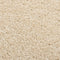 vidaXL - Vloerkleed - kortpolig - 80x150 - cm - beige