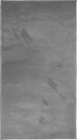 vidaXL - Vloerkleed - OVIEDO - laagpolig - 60x110 - cm - antracietkleurig